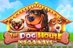 the dog house