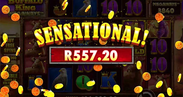 Buffalo King by Pragmatic Play slot sensational win Play.co