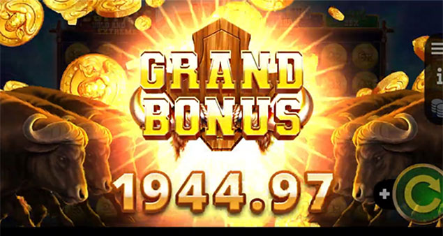 Booming Games - Buffalo Hold and Win Extreme Grand Bonus - Play.co.za