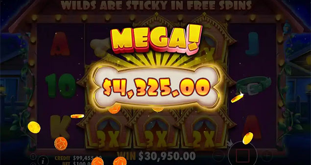 Pragmatic Play - The Dog House Mega Win - Play.co.za