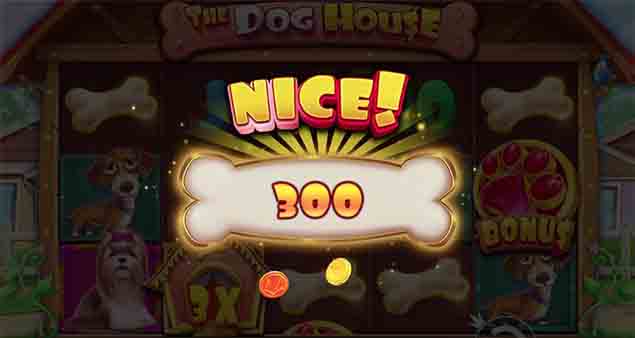 Pragmatic Play - The Dog House Nice Win - Play.co.za