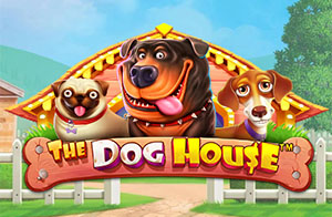 Pragmatic Play - The Dog House Slot Featured - Play.co.za