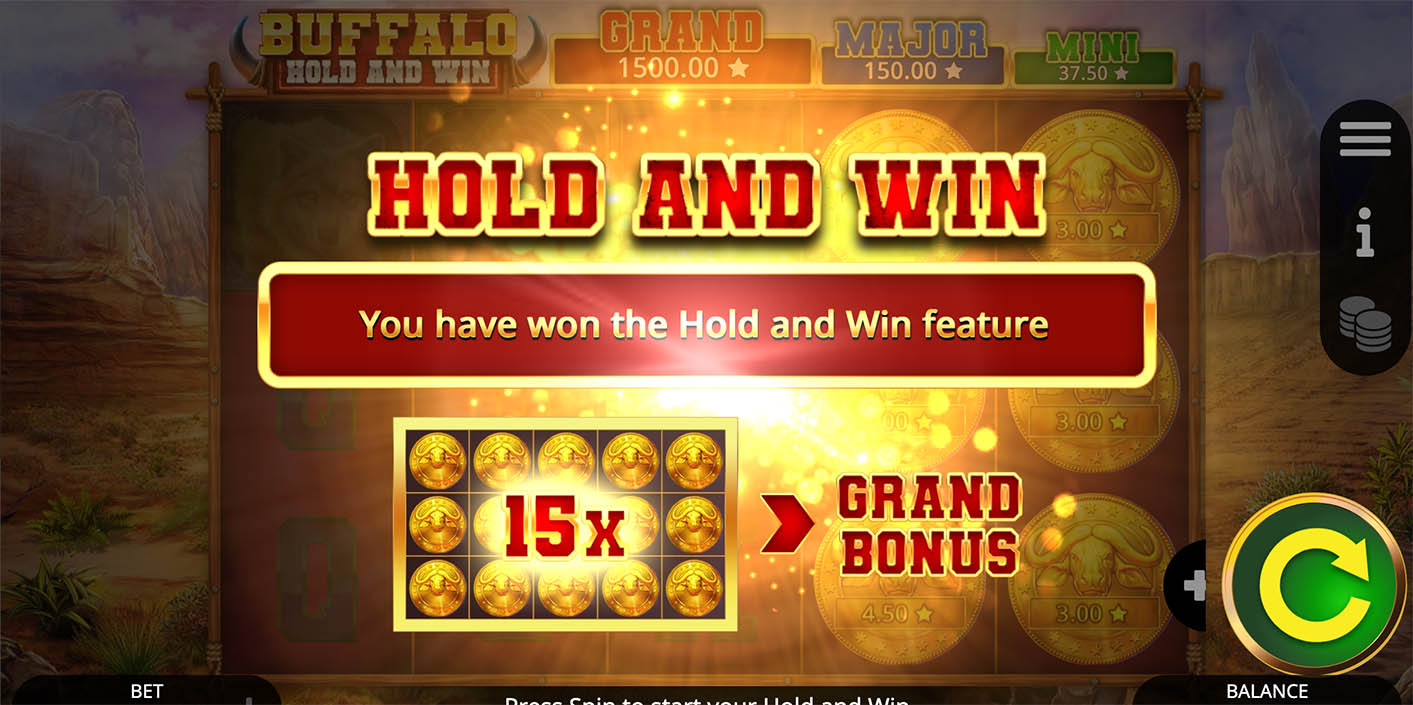 Booming Games - Buffalo Hold and Win Feature - Play.co.za