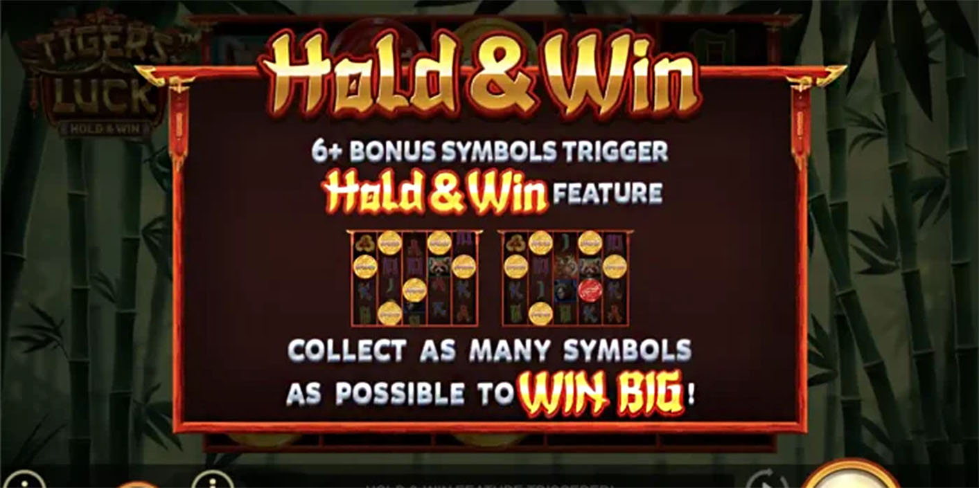 Betsoft - Tiger’s Luck – Hold & Win Hold & Win - Play.co.za