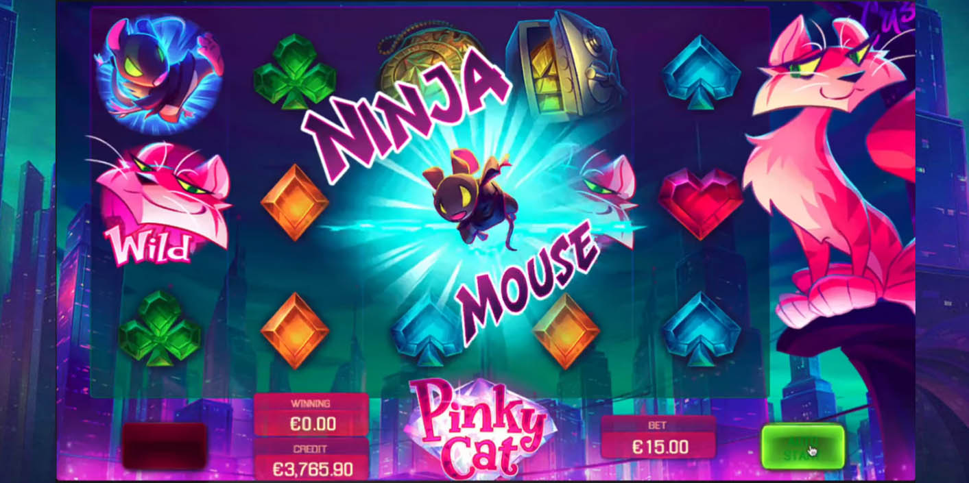 Apollo Games - Pinky Cat Ninja Mouse - Play.co.za