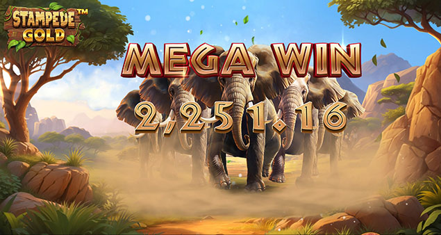 Betsoft - Stampede Gold Mega Win - Play.co.za