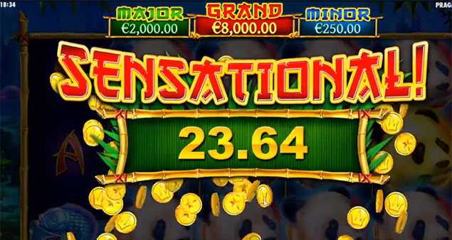 Pragmatic Play - Pandas Fortune Sensational Win - Play.co.za