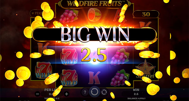 Spinomenal - Wildfire Fruits Big Win - Play.co.za
