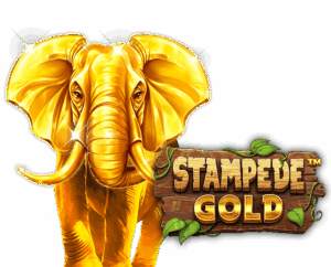 Betsoft - Stampede Gold Slot Logo - Play.co.za