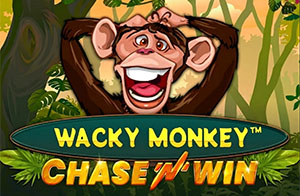 Spinomenal - Wacky Monkey Chase’N’Win Slot Featured - Play.co.za